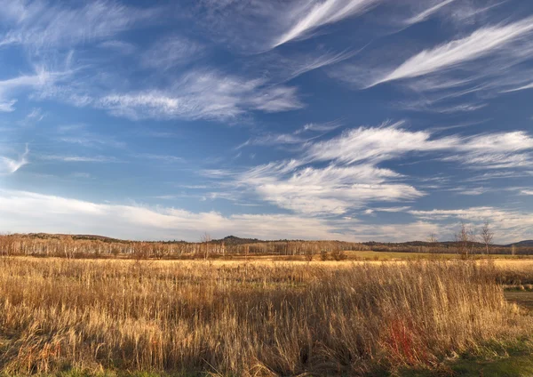 Leere Herbstfelder und der wolkenverhangene Himmel — Stockfoto