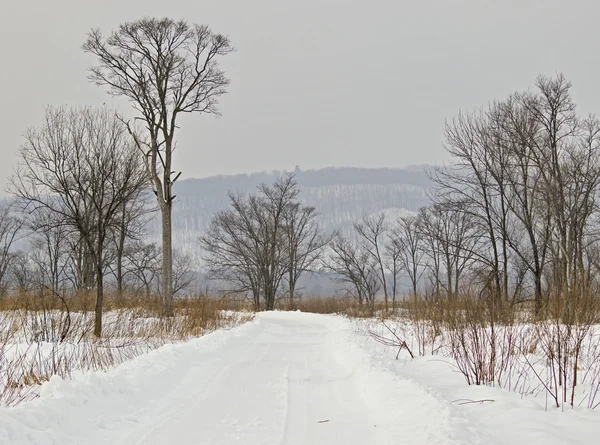 Field road to winter cloudy day — Stock Photo, Image