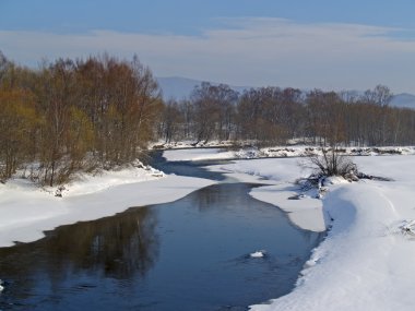Riverheads of Ussuri in the winter clipart