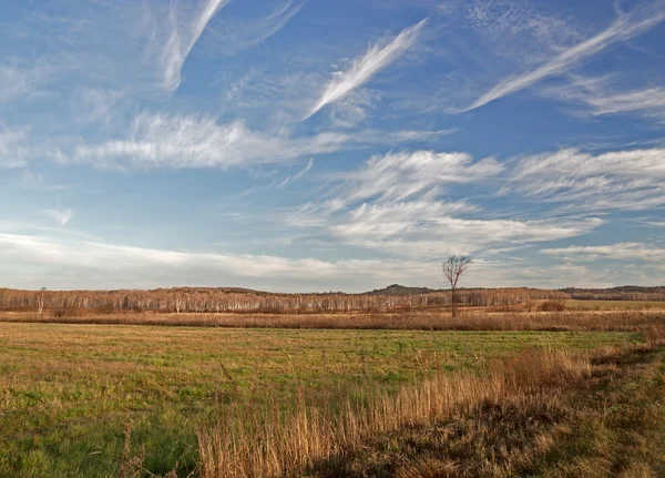 Sonbahar boş alanlar ve bulutlu gökyüzü — Stok fotoğraf