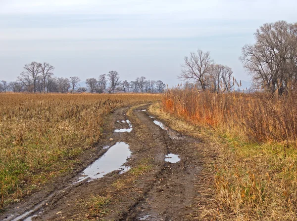 Caminho de campo a uma paisagem de outono — Fotografia de Stock