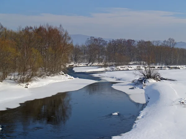 Riverheads de Ussuri no inverno Fotos De Bancos De Imagens