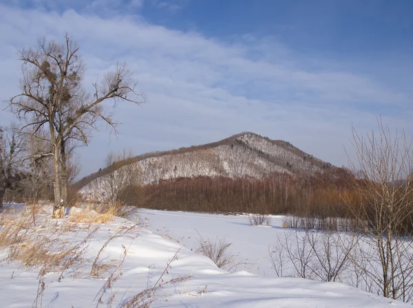 Op de oever van de rivier van de sneeuw bedekte winter — Stockfoto