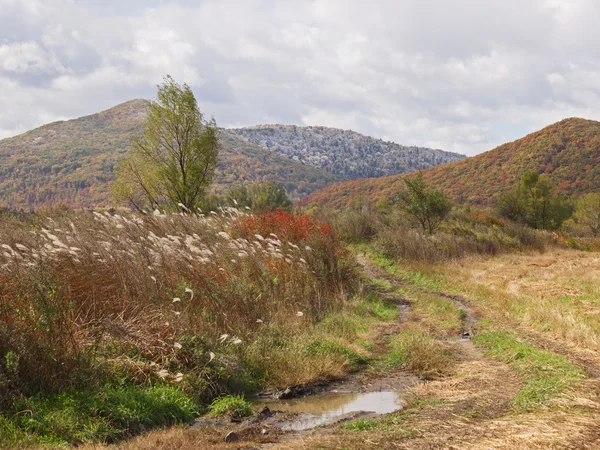 Herfst op rand van de schoongemaakte veld — Stockfoto