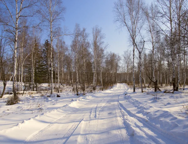 Winter morning on wood road — Stock Photo, Image