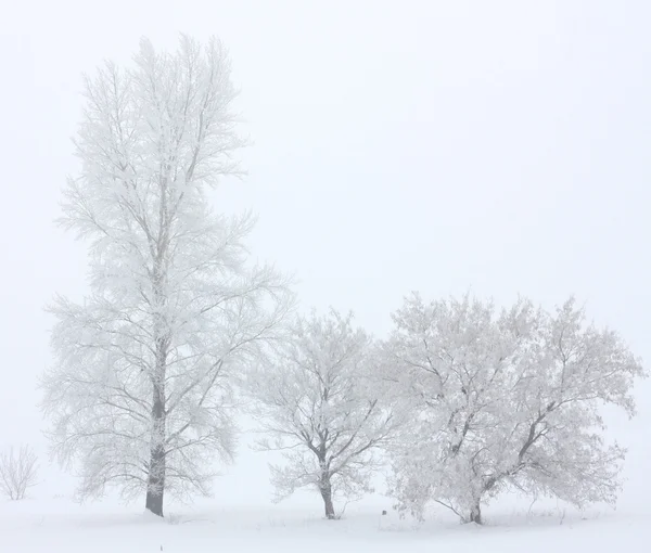 Paesaggio invernale Fotografia Stock