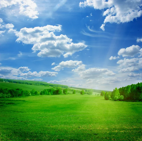 Linda paisagem de verão — Fotografia de Stock