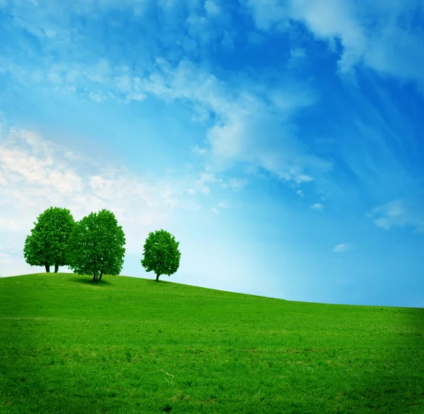 三棵树与绿色的田野上 — 图库照片
