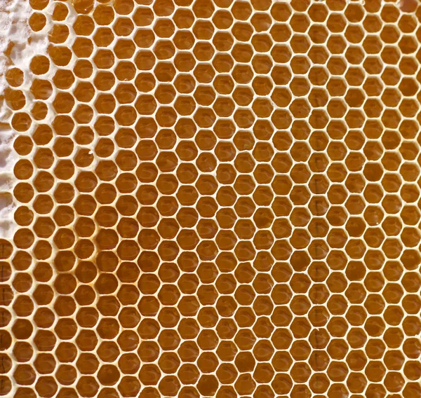 Méhsejt háttér Stock Kép