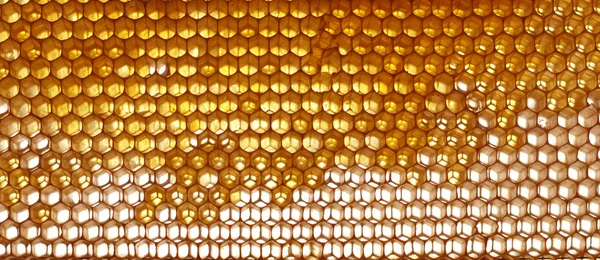 Honeycomb background Stock Picture