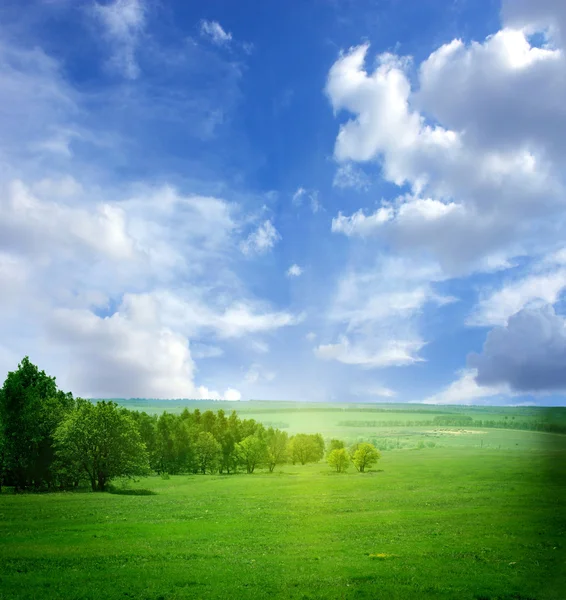 Beautiful landscape Stock Photo