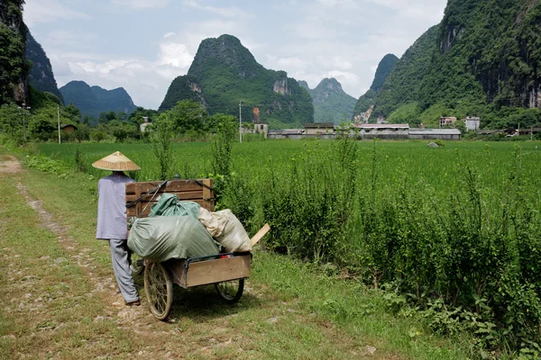 Landsbygden kinesiska bonde — Stockfoto