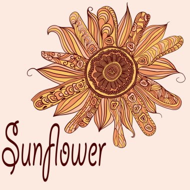 vector hand drawn sunflower clipart