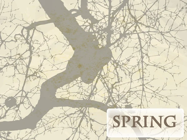 与树和 grunge 纹理矢量春天背景 — 图库矢量图片