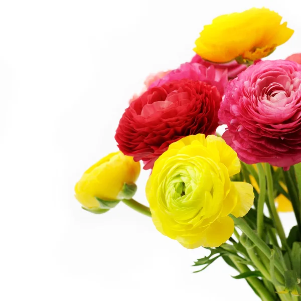 라 난 큐 라스의 꽃다발 — 스톡 사진