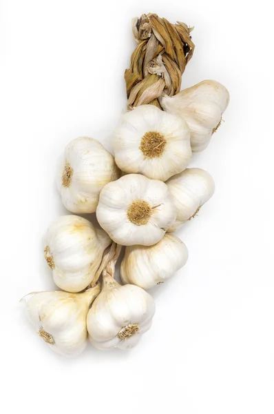 stock image Garlic