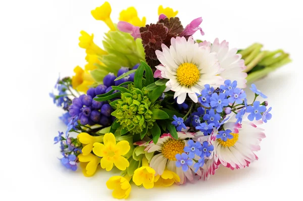 Voorjaarsbloemen — Stockfoto