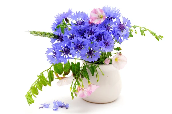 Cornflower bouquet — Stock Photo, Image
