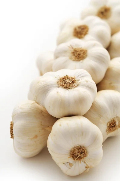 stock image Garlic