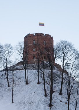 Kule şafak, vilnius, Litvanya