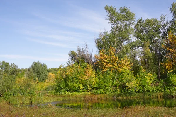 stock image Autumn Landscape