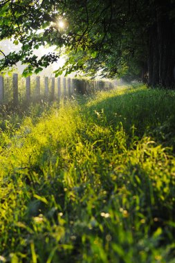 Sunrise güzel dar sokakta