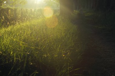 Sunrise güzel dar sokakta