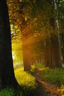 Sunrise güzel dar sokakta