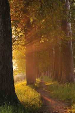 Sunrise güzel dar sokakta