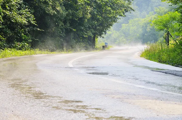 stock image Country side road in green forest