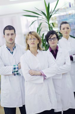 Pharmacy drugstore team