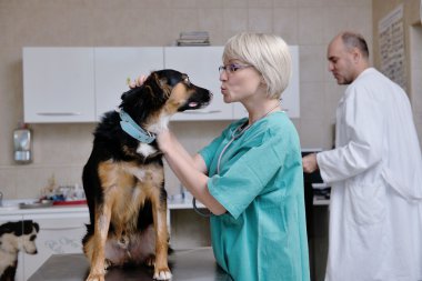 Küçük bir hayvan kliniğinde veteriner ve asistan.