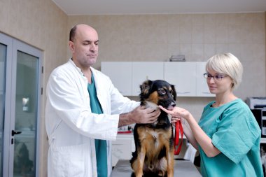 Küçük bir hayvan kliniğinde veteriner ve asistan.