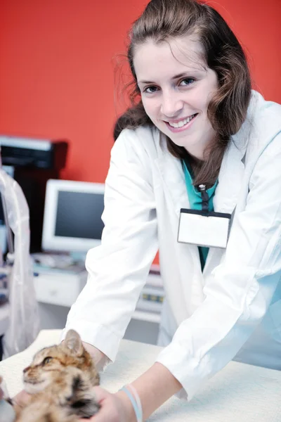 Tierärztin und Assistentin in einer Kleintierklinik — Stockfoto