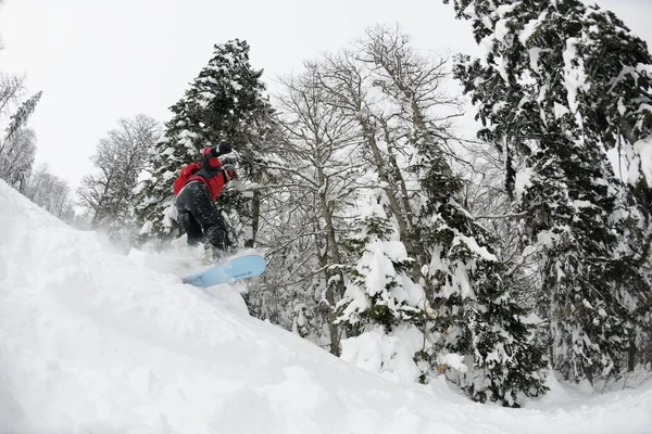 Snowboarder sur neige fraîche et profonde — Photo