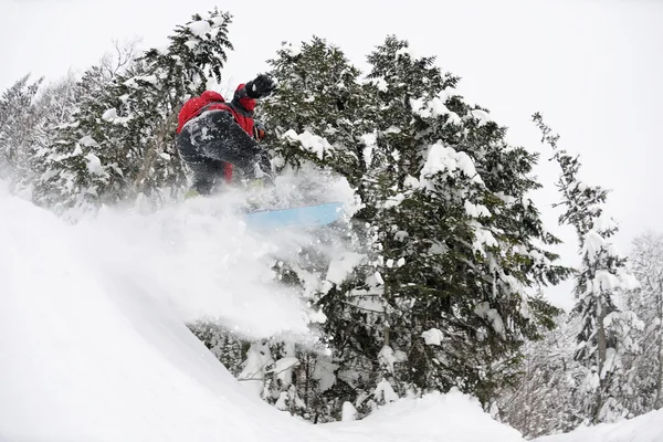 Snowboarder sulla neve fresca e profonda — Foto Stock