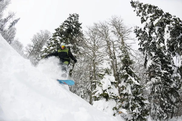 Snowboardzista na świeże w głębokim śniegu — Zdjęcie stockowe