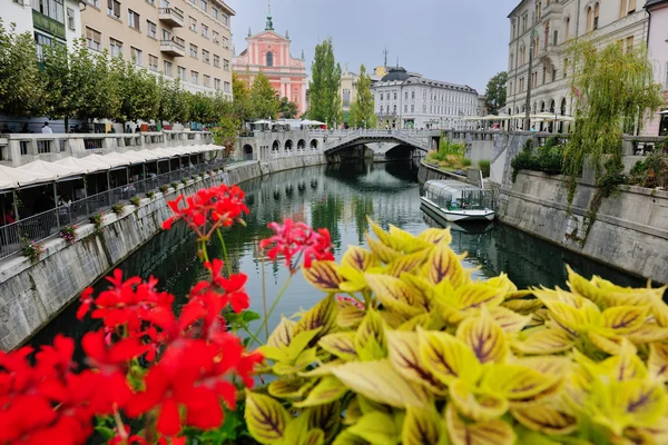 슬로베니아의 류블랴나 수도 — 스톡 사진