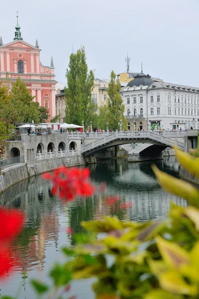 Ljubljana fővárosa Szlovénia — Stock Fotó