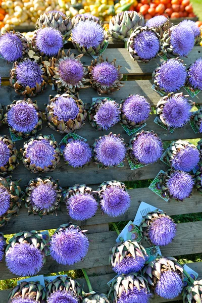 stock image Artichoke purple flower