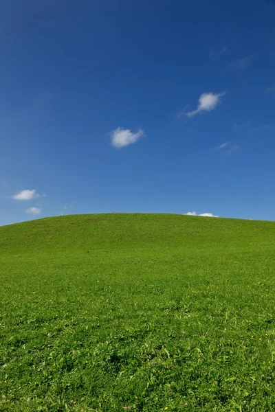 Fältet av gras och blå himmel — Stockfoto