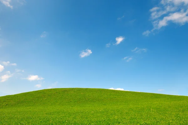 Feld von Gras und blauem Himmel lizenzfreie Stockfotos