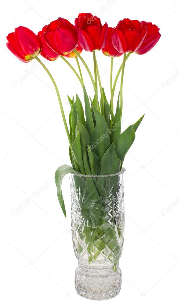 Red tulips bouquet in vase