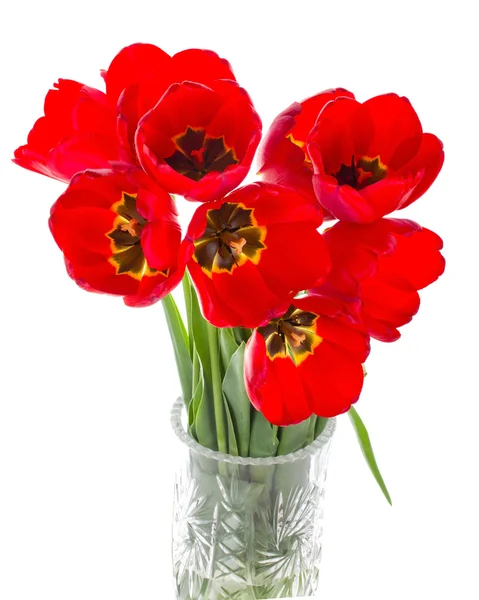 Röda tulpaner bukett i vas — Stockfoto