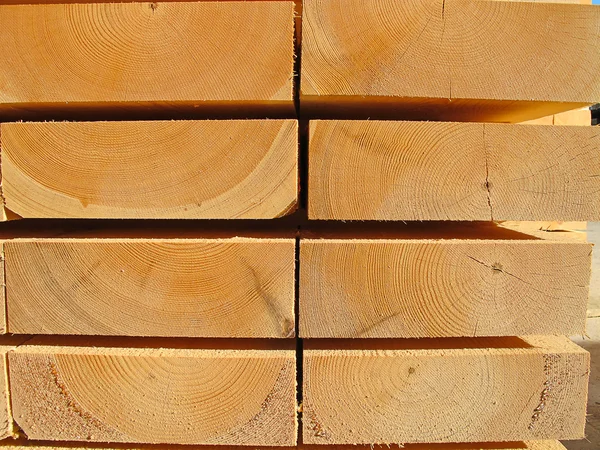 Pregos de madeira frescos — Fotografia de Stock