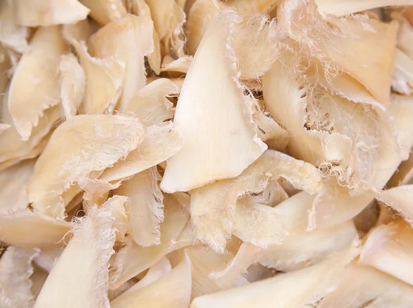 Dried shark fins — Stock Photo, Image