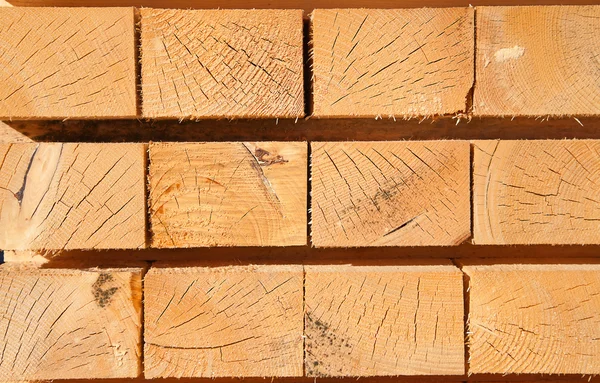 Świeże kołki drewniane — Zdjęcie stockowe