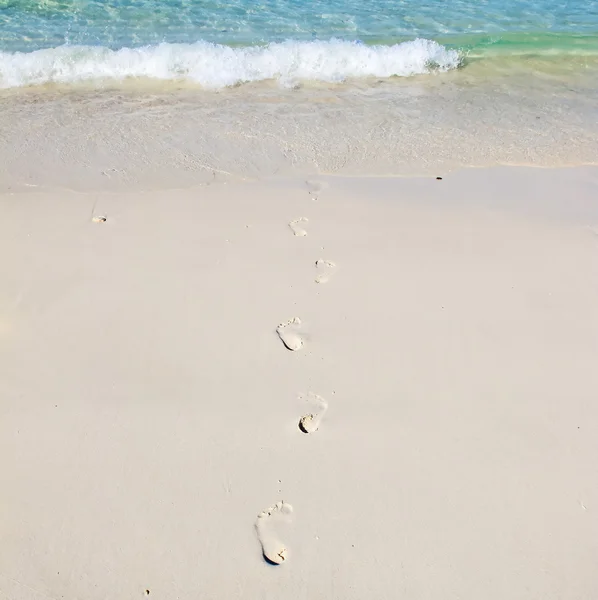 Ślady na białej, piaszczystej plaży — Zdjęcie stockowe