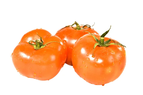 Röda tomater. — Stockfoto