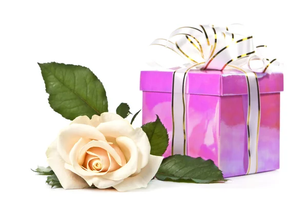 stock image Bright rose and a gift on a white background.